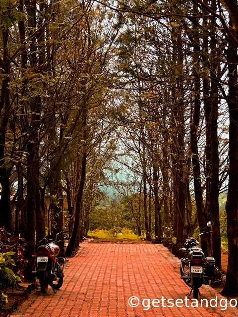 The beautiful tree lined walkway to the Falls