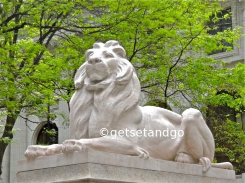 The magnificent lion of New York Public Library
